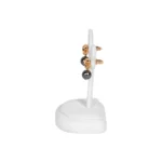 Earring-Holder-Stand-small-white-side-view-with-earring-ES82SWH Earring Holder Stand small white side view with earring