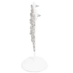 earring stand white Large side view with earring