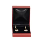 BXE85BR jewellery gift box for earring red with earring front